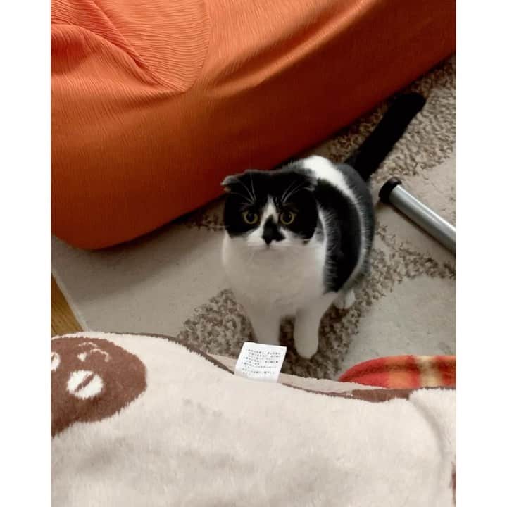tiaichimaのインスタグラム