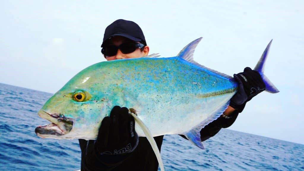 IKEさんのインスタグラム写真 - (IKEInstagram)「カスミアジ  Bluefin trevally」1月24日 9時18分 - ike1984official