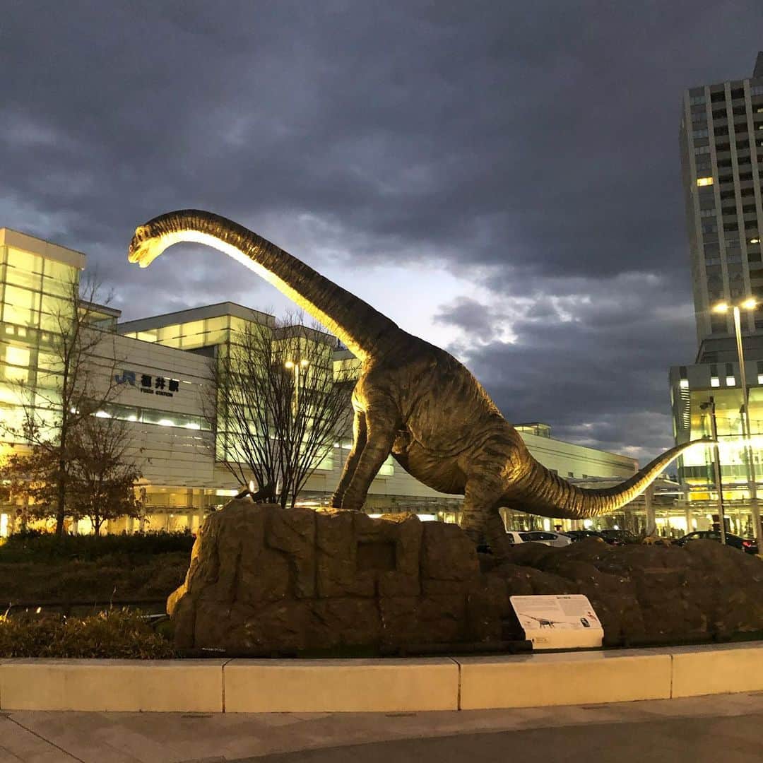 倉本康子さんのインスタグラム写真 - (倉本康子Instagram)「🌟 福井旅行ラスト&告知 昨日のインスタで今夜の おんな酒場放浪記告知しましたが 告知画面載せてなかったので 福井旅行ラストの画像と共にアップしてみた。  福井県は恐竜の化石が沢山出土したことでも有名！ そこかしこに恐竜が！ 新幹線のホームに上がる手前のベンチで化石を見せてくれる 恐竜博士に出会いました😂  さてー 今日は金曜日です！ 23時からどうぞお付き合いくださいねー！ #おんな酒場放浪記 #bstbs #金額23時 #酒場モデル #倉本康子 #福井旅行 #恐竜県 #恐竜博士 #恐竜博士ベンチ #駅前には実寸大と思われる動く恐竜 #ひとたまりもないよね #ジュラシック県」1月24日 9時28分 - yasuko_kuramoto_yakko