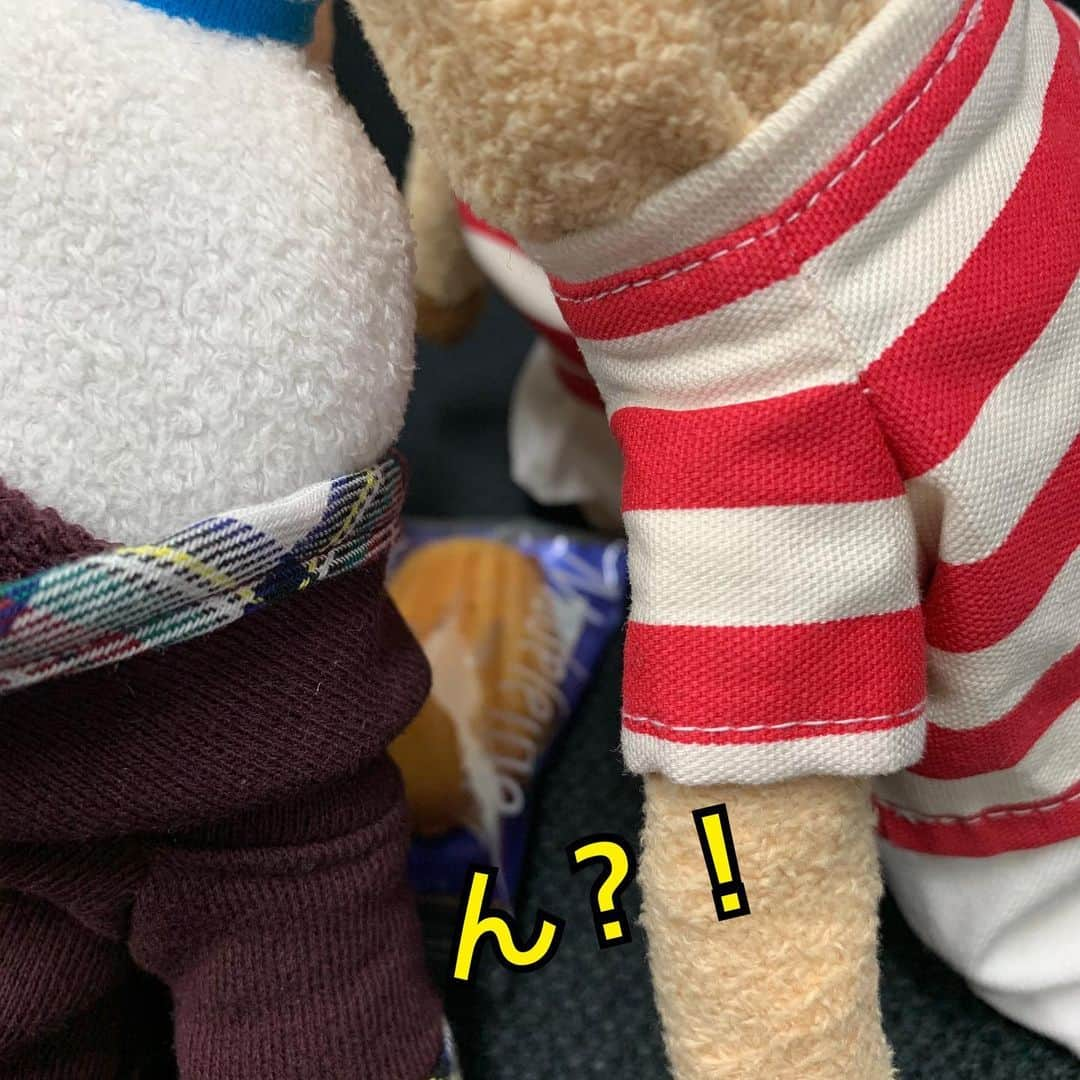 江口ともみさんのインスタグラム写真 - (江口ともみInstagram)「スクラム？  そしてがっきーは。。。 #fumofumosan #フモフモさん #スクラム #悪だくみ#みんなでわけなさい #稲垣啓太選手じゃない #新垣結衣ちゃんと信じる」1月24日 10時16分 - tomomin.eguchi