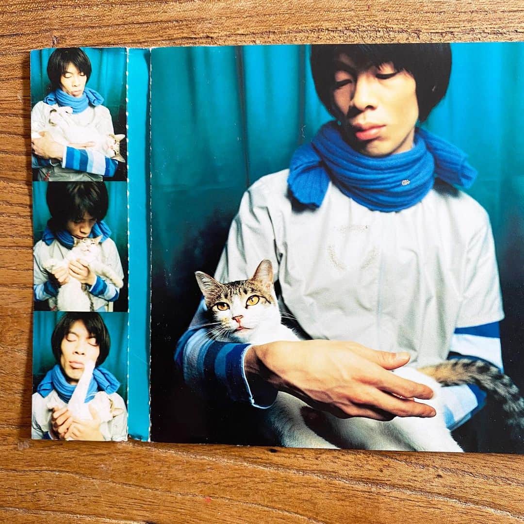 山田稔明さんのインスタグラム写真 - (山田稔明Instagram)「今日1月24日でリリースから19年となった『饒舌スタッカート』。愛猫ポチとの出会いの作品でもありました。当時のことを思い出しながら。 #朝一番に聴くレコード #gomesthehitman #山田ポチ」1月24日 10時35分 - toshiakiyamada