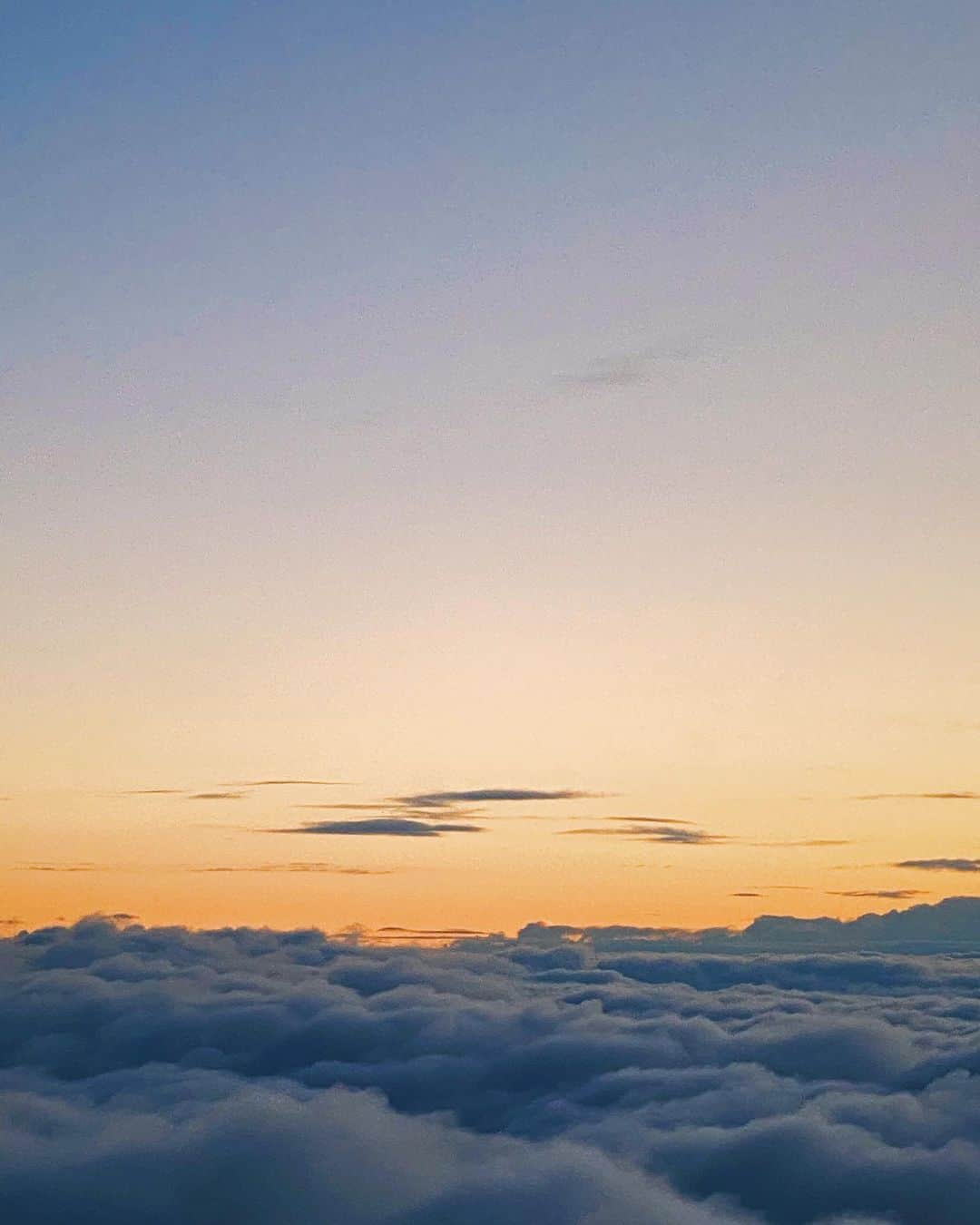 リウ・ウェンのインスタグラム：「#WenInFlight」