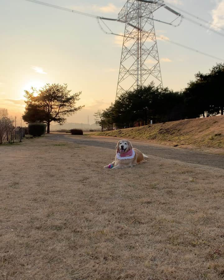 まゆみのインスタグラム
