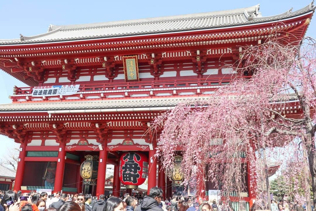 MagicalTripさんのインスタグラム写真 - (MagicalTripInstagram)「Hello! This is Magical Trip @magicaltripcom. Let us introduce the experiences we are offering in Japan 🇯🇵 Today, I will introduce one of the popular day time tours. 【Asakusa Cultural & Street-food Walking Tour】 “Discover the history and traditions of the old town in Tokyo, Asakusa” ① A Rickshaw ride experience  ② Educational experience that you can learn Japanese religious culture at Senso-ji temple and all about this old traditional town in Tokyo ③ Explore a cooking central for Japanese chefs and shop for high-quality, authentic Japanese kitchenware ④ Cook Monja-yaki originally created in Asakusa for lunch 【Comments from the tour creator】 Asakusa is the most popular tourist destination in Tokyo. Asakusa's trip wouldn't be complete with just passing through the main street and blindly following other tourists to Senso-ji temple. Skip the over-priced, touristy restaurants around the sightseeing area and find one that is authentic, local, and fun! This Asakusa cultural walking tour suits all types of travelers: family, friends, couples, and solo travelers. In addition, since this is a small-group tour (up to 8 people), you can also enjoy talking with and meeting new people, including your friendly local guide. 【Reviews】 “A brilliant tour with great guides....cheers” “Shin was a friendly and knowledgeable tour guide” “I highly recommend this tour for first time visitors to Japan as it is a great intro to Japanese culture and includes food!” If you are interested, please check out the tour from the link in the bio! @magicaltripcom  #magicaltrip #magicaltripcom #walkwithlocals #traveldeeper #localguide #localguides #japantravel #japantrip #japanbeauty #japannature #japantour #tokyo #tokyotour #tokyotrip #barhopping #tokyofood #tokyonature #tokyolocal #tokyogram #asakusa #jinrikisha #rickshow #sensoji #sensojitemple #streetfood #localfood #monjayaki #asakusatokyo #asakusatemple #oldtown」1月24日 21時00分 - magicaltripcom