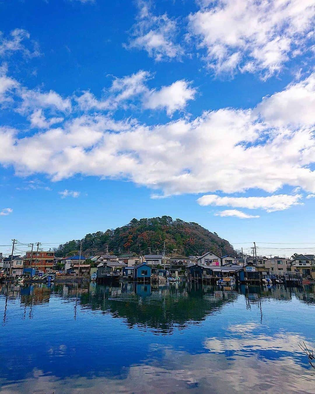 横浜市さんのインスタグラム写真 - (横浜市Instagram)「Take in the outdoors of Yokohama at Hirakata Bay. Photo: @osmmr1 #myyokohama」1月24日 21時22分 - findyouryokohama_japan