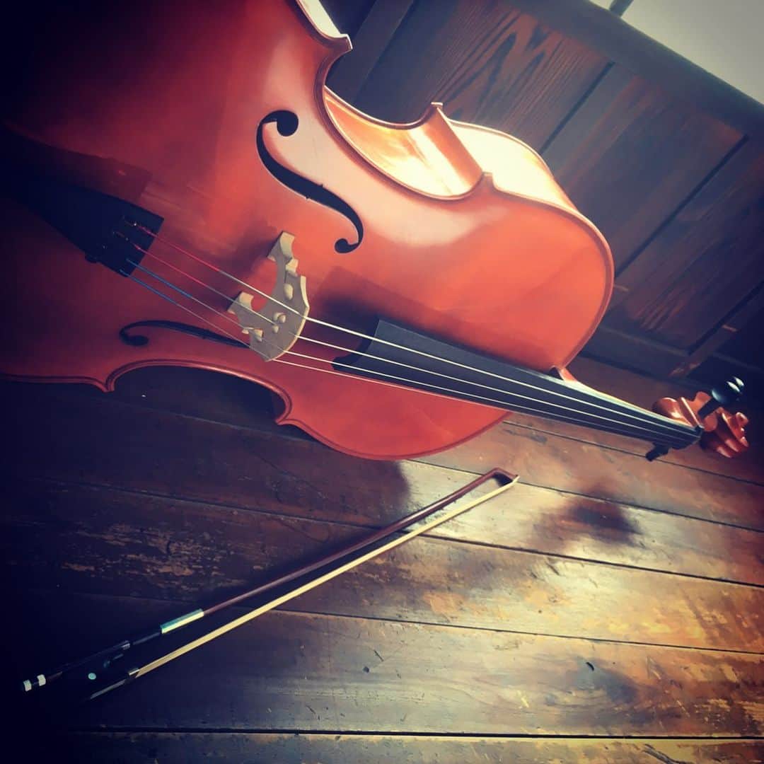 ナガイケジョーさんのインスタグラム写真 - (ナガイケジョーInstagram)「手にして以来12年振りに弦を新調。今までごめんねって気分、練習しよ。 #cello #恐る恐る自分で交換」1月24日 13時27分 - joenagaike