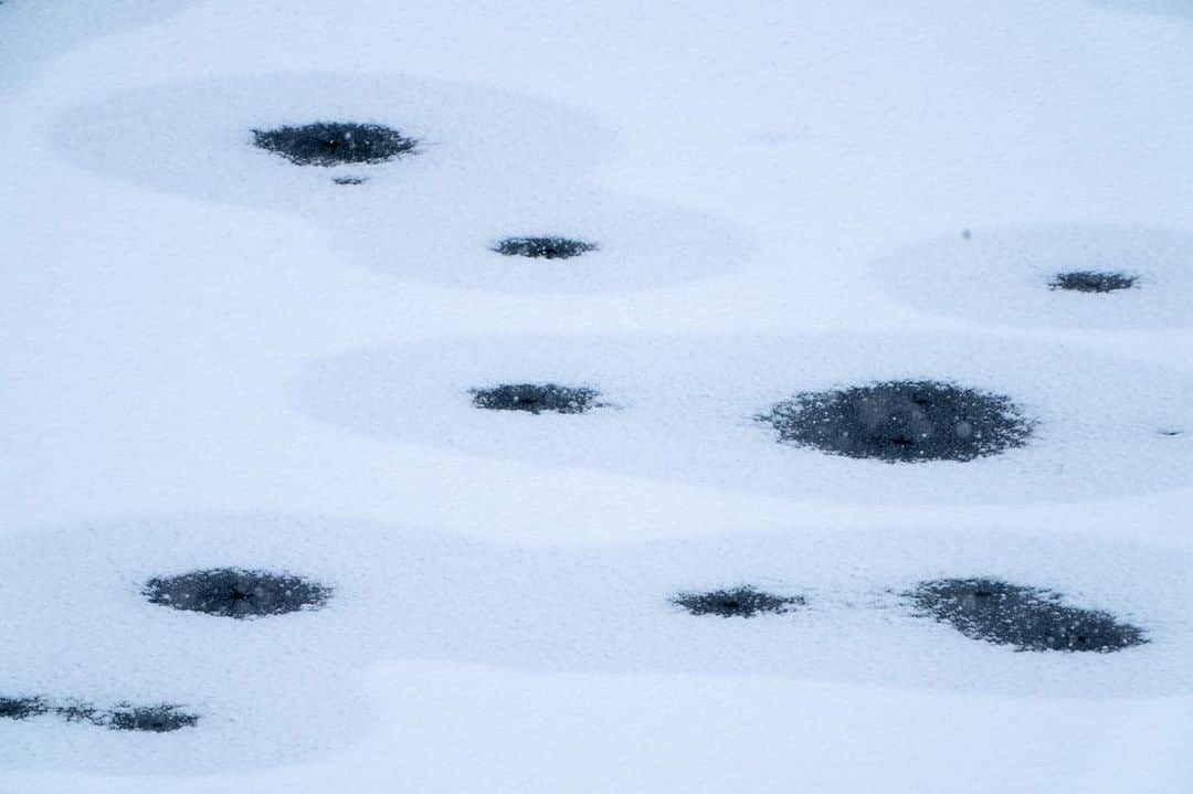 山人さんのインスタグラム写真 - (山人Instagram)「今年は雪が少ないですね。 (やっと例年の半分量までがんばりました) 代わりに今年は「氷紋」が出やすいようです。 自然の作る芸術のひとつです。 何か感じるか何に見えるかはその人次第です😊 #氷紋 #錦秋湖 #山人 #yamado #山人スタッフが行く #芸術 #art #自然芸術 #スタッフsh撮影 #西和賀町に住めば家から氷紋見れます」1月24日 13時31分 - yamado.official