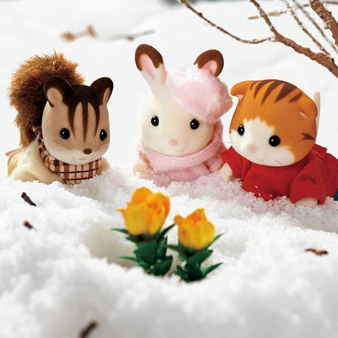 シルバニアファミリー【公式】 さんのインスタグラム写真 - (シルバニアファミリー【公式】 Instagram)「冬の帰り道、ショコラウサギちゃんたちは 雪をかき分けて凛と咲くお花を見つけました。 「きれいな黄色ね」 「寒いのにがんばって咲くのね」 「どうやって出てきたんだろう？」 お花を見つけた3人はとてもあたたかい気持ちになりました。 シルバニア村にも少しずつ春が近づいてきているようです。  #シルバニアファミリー #シルバニア #sylvanianfamilies #calicocritters  #sylvanian #ドールハウス #dollhouse #ミニチュア #miniature  #雪 #冬 #春よ来い  #春のおとずれ #春はすぐそこ」1月24日 15時00分 - sylvanianfamilies_jp