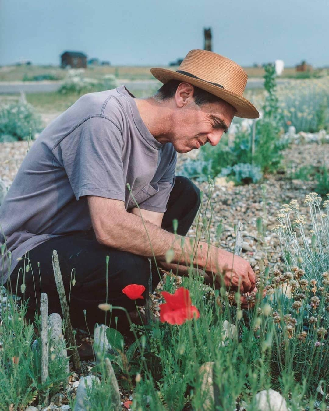 UPLINK film distributionさんのインスタグラム写真 - (UPLINK film distributionInstagram)「#Repost @tate ・・・ #DerekJarman (1942–1994) was a tirelessly inventive individual and one of the most important and influential artists of his generation. As well as a film maker and painter, he was a wonderful man and insightful diarist who gave us fascinating accounts of his life and times. One of Jarman's great achievements was transforming a Victorian fisherman’s hut in Dungeness into a sanctuary of art and imagination, for artists to come together and work. Today Jarman's cottage represents the most complete distillation of his pioneering creativity across film, art, writing and gardening – and we want to keep it that way.  We're delighted to be working with @ArtFund and @creativefstone to save Jarman's iconic home and garden for future generations. 🏠🍃 Some of Jarman's fragile items, including sketchbooks and memorabilia, will be preserved in Tate's Britain's archive and made available for public access.  Click the link in our bio to discover why saving Jarman's home is so important for securing its future as a centre of inspiration and creative activity – and how you can help to #SaveProspectCottage. Without this appeal, such a special place is at risk of being sold, its contents dispersed, and Jarman's rich artistic legacy lost. 💙」1月24日 15時05分 - uplink_film