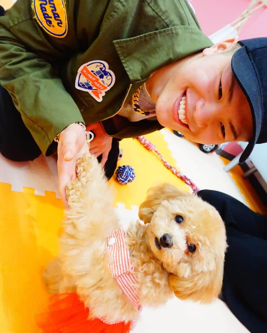 那須川天心さんのインスタグラム写真 - (那須川天心Instagram)「相方と犬カフェに行ってきた🐶 テレパシーで話せるようになりたいな 心が豊かになった気がした みんなも行ってみてね✌️ @mctccafe  #犬カフェ #あまり得意な方ではなかった #けど #ありだと思った」1月24日 15時29分 - tenshin.nasukawa