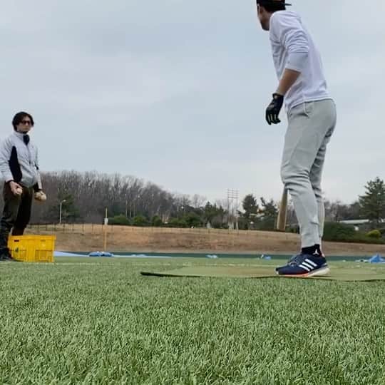 上原健太のインスタグラム：「トレーニングの一環でロングティー二箱！柵越えも打てたけど何よりもキツイ。。 2つ目の動画はパーシャルスクワット300kg。全身の筋力を最大限に発揮する練習！ たった5回で足プルプル。。 ロングティーで腕と背中プルプル。。 結果、全身プルプル。。 #明治大学#ロングティー#トレーニング」