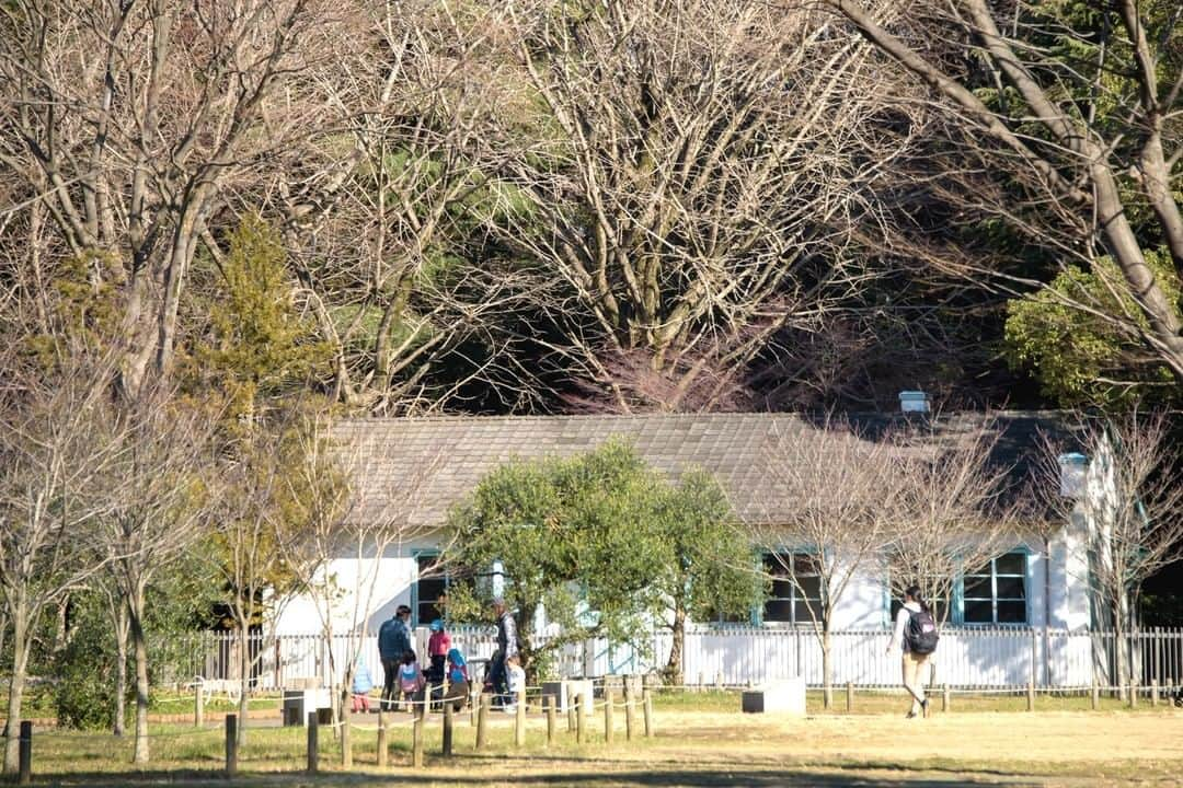 東京都庁広報課さんのインスタグラム写真 - (東京都庁広報課Instagram)「「代々木公園　（渋谷区神南）YoyogiPark/(2020.1.9撮影) 」 最寄り駅：原宿駅　明治神宮前原宿駅 #明治神宮　#原宿　#神宮橋　#五輪橋 #代々木競技場 #代々木公園　#オリンピック記念宿舎 #beautifuldestinations #tokyotrip #tokyotravel #passionpassport #tokyojapan #instatokyo #loves_nippon #phos_japan #bestjapanpics #cooljapan #japan_of_insta #discovertokyo #photo_jpn #東京観光 #東京旅行 #illgrammers #景色 #お出かけ #東京 #Tokyo #东京 #도쿄 #tokyogood」1月24日 17時00分 - tocho_koho_official