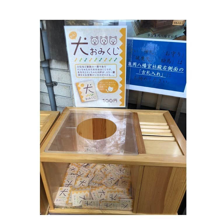 VOCE編集部のインスタグラム