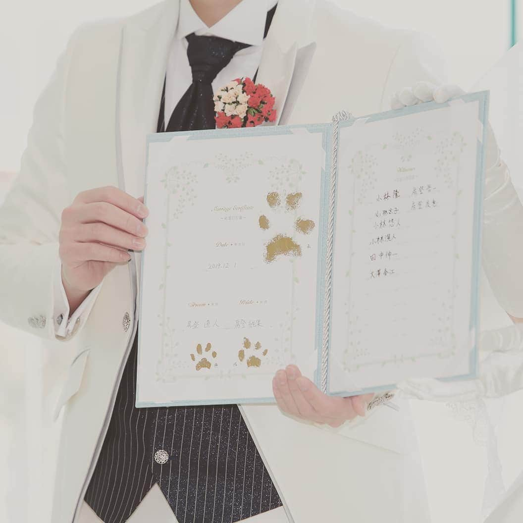 deuxzero デゼーロさんのインスタグラム写真 - (deuxzero デゼーロInstagram)「#デゼーロ#神戸ウェディング#結婚式#ペットウェディング#プレ花嫁#卒花#神戸結婚式場 #愛犬#ペット#挙式」1月24日 17時22分 - deuxzero_kobe_wedding