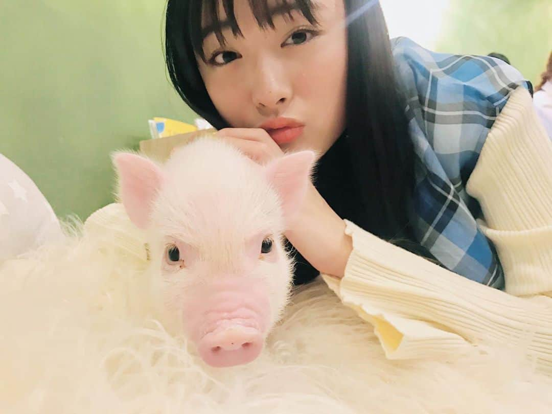 大友花恋さんのインスタグラム写真 - (大友花恋Instagram)「明日は久しぶりのブランチ~🐷」1月24日 17時57分 - karen_otomo