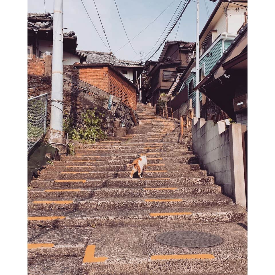 福山雅治さんのインスタグラム写真 - (福山雅治Instagram)「#長崎フォトフェスティバル2019 #NagasakiPhotoFestival2019 #photocity_nagasaki  竹野 大志さん「長崎市 長崎水辺の森公園」/入賞 西川 裕子さん「長崎市 国立長崎原爆死没者追悼平和祈念館」/入賞 鎌田 智也さん「諫早市小長井町 フルーツバス停」/入賞 松本 隆さん「長崎市 大野海浜公園駐車場近く」/入賞 本多 和典さん「長崎市 眼鏡橋」/入賞 原田 歩さん「長崎市 長崎ペンギン水族館」/入賞 山口 耕次さん「長崎市 浦上浄水場付近」/入賞 kazuyaさん「長崎市 長崎水辺の森公園」/入賞 時枝 真哉さん「長崎市大浦町 オランダ坂」/入賞 古賀 直樹さん「佐世保市金比良町」/入賞」1月24日 18時00分 - masaharu_fukuyama_official