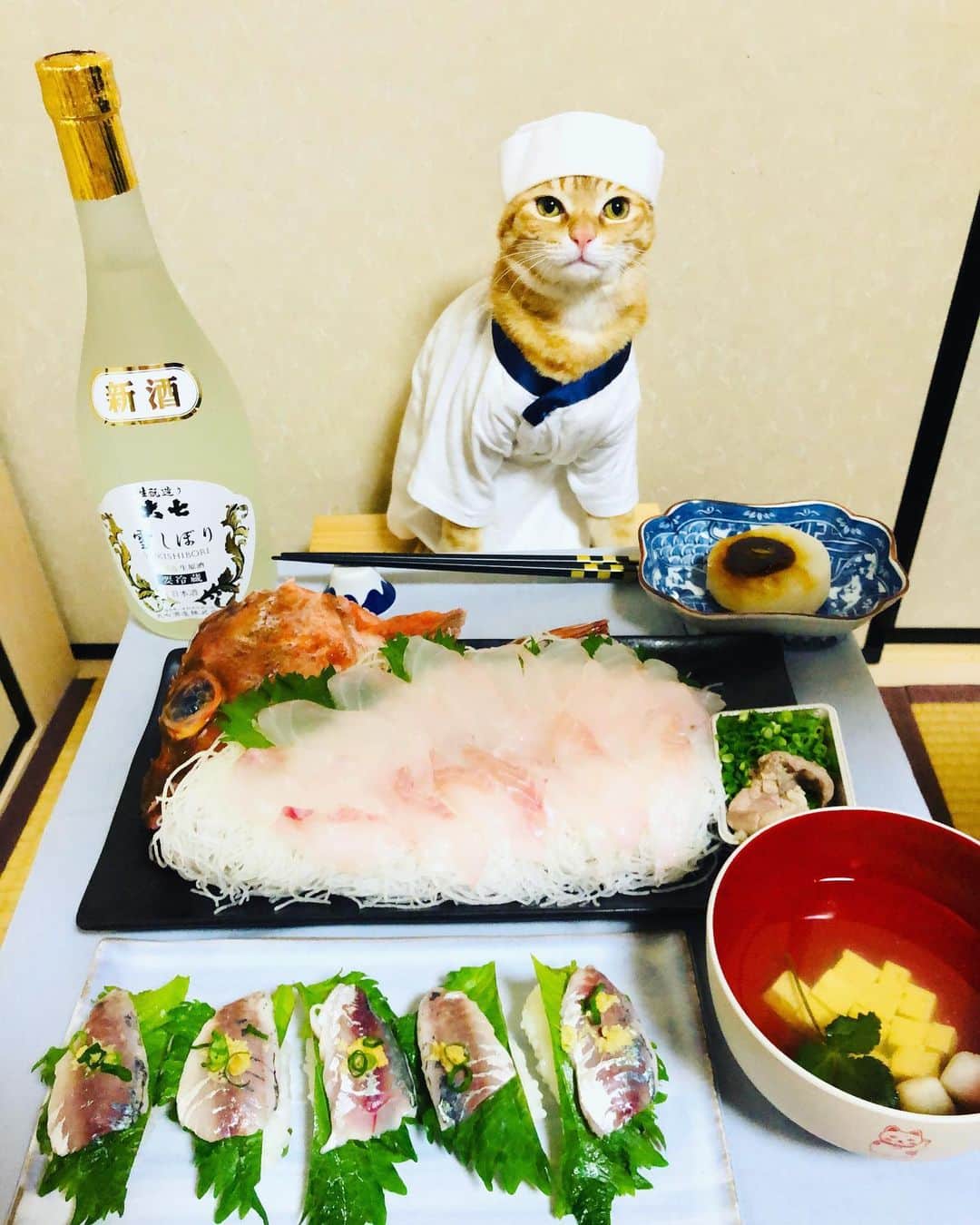 マロさんのインスタグラム写真 - (マロInstagram)「🐟魚づくし🐟　SWIPE▶️ ・アジ寿司 (Horse mackerel sushi) ・ホゴの刺身 (Scorpionfish sashimi) ・ふろふき大根 (simmered daikon radish dressed with sweet miso) ・お吸い物 (Suimono (Clear Soup)) ☆ いつもコメントありがとうございます😺🙏💕 返信出来なくてすみません🙇‍♀️ 全て拝見しています🐾 ☆ Thank you for your kind comments😸🙏💕 I'm sorry that I couldn't reply. ☆ #cat#cats#catsofinstagram#😻 #chef#sake#sushi#ねこ#ネコ#猫 #ねこ部#ふわもこ部#寿司#日本酒 #板前#料理#刺身#斉藤和義 #カーリングシトーンズ」1月24日 18時53分 - rinne172
