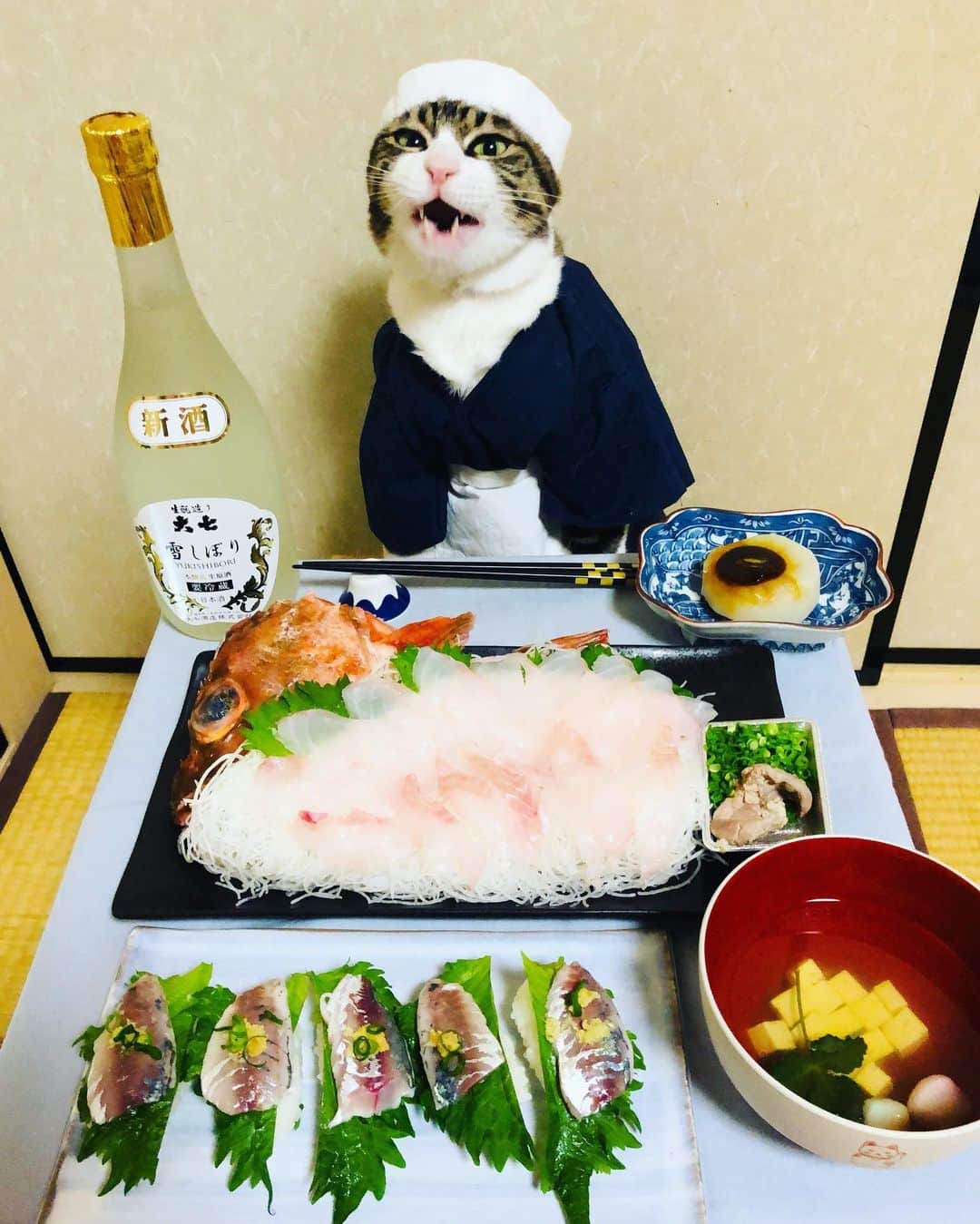 マロさんのインスタグラム写真 - (マロInstagram)「🐟魚づくし🐟　SWIPE▶️ ・アジ寿司 (Horse mackerel sushi) ・ホゴの刺身 (Scorpionfish sashimi) ・ふろふき大根 (simmered daikon radish dressed with sweet miso) ・お吸い物 (Suimono (Clear Soup)) ☆ いつもコメントありがとうございます😺🙏💕 返信出来なくてすみません🙇‍♀️ 全て拝見しています🐾 ☆ Thank you for your kind comments😸🙏💕 I'm sorry that I couldn't reply. ☆ #cat#cats#catsofinstagram#😻 #chef#sake#sushi#ねこ#ネコ#猫 #ねこ部#ふわもこ部#寿司#日本酒 #板前#料理#刺身#斉藤和義 #カーリングシトーンズ」1月24日 18時53分 - rinne172