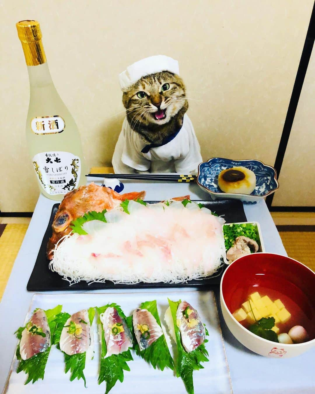 マロさんのインスタグラム写真 - (マロInstagram)「🐟魚づくし🐟　SWIPE▶️ ・アジ寿司 (Horse mackerel sushi) ・ホゴの刺身 (Scorpionfish sashimi) ・ふろふき大根 (simmered daikon radish dressed with sweet miso) ・お吸い物 (Suimono (Clear Soup)) ☆ いつもコメントありがとうございます😺🙏💕 返信出来なくてすみません🙇‍♀️ 全て拝見しています🐾 ☆ Thank you for your kind comments😸🙏💕 I'm sorry that I couldn't reply. ☆ #cat#cats#catsofinstagram#😻 #chef#sake#sushi#ねこ#ネコ#猫 #ねこ部#ふわもこ部#寿司#日本酒 #板前#料理#刺身#斉藤和義 #カーリングシトーンズ」1月24日 18時53分 - rinne172