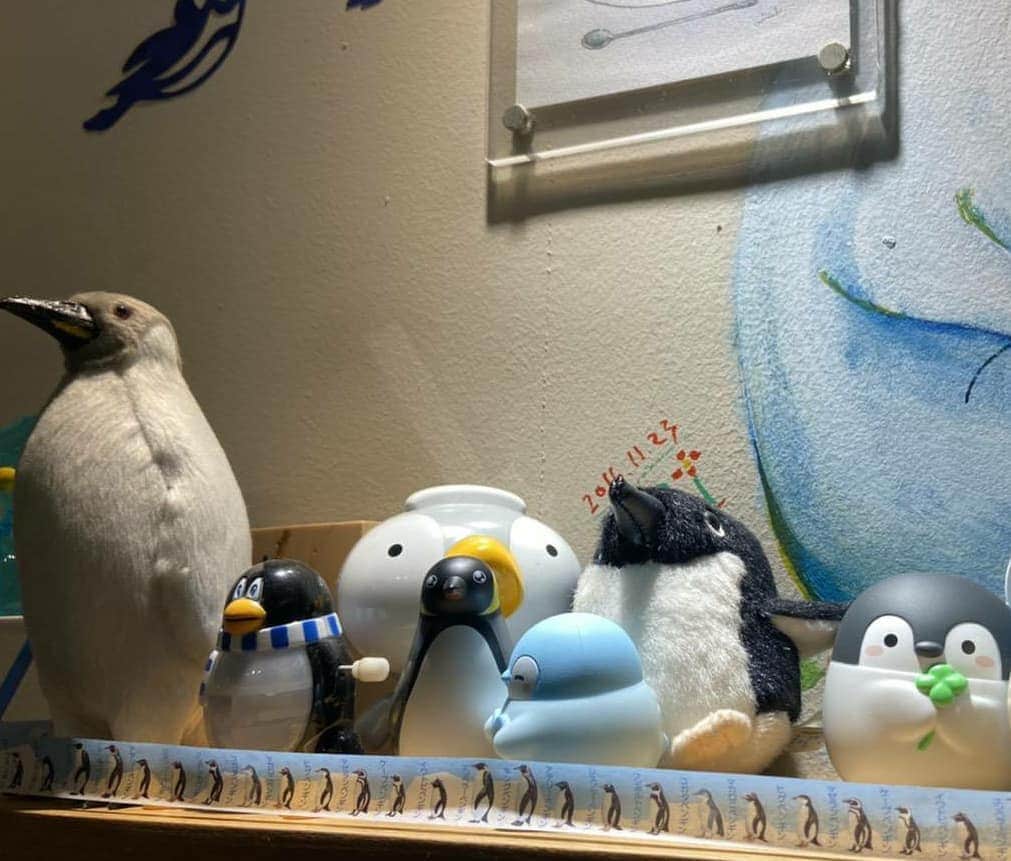 中京テレビ「キャッチ！」さんのインスタグラム写真 - (中京テレビ「キャッチ！」Instagram)「🐧大須にペンギンの巣… たくさんのペンギンに囲まれたカフェ、スゴくない⁉️ ﻿﻿﻿ ﻿﻿﻿ ﻿﻿﻿ #ハマコレ﻿﻿﻿﻿﻿﻿﻿ #キャッチ中継﻿﻿﻿﻿﻿﻿﻿﻿﻿ .﻿﻿﻿﻿﻿﻿﻿﻿﻿﻿﻿﻿﻿﻿﻿﻿﻿﻿﻿﻿﻿﻿﻿ .﻿﻿﻿﻿﻿﻿﻿﻿﻿﻿﻿﻿﻿﻿﻿﻿﻿﻿﻿﻿﻿﻿﻿﻿ .﻿﻿﻿﻿﻿﻿﻿﻿﻿﻿﻿﻿﻿﻿﻿﻿﻿﻿﻿﻿﻿﻿﻿﻿ .﻿﻿﻿﻿﻿﻿﻿﻿﻿﻿﻿﻿﻿﻿﻿﻿﻿﻿﻿﻿﻿﻿﻿﻿ #ctvcatch 📺月～金曜日午後3時48分から生放送﻿﻿﻿﻿﻿﻿﻿﻿﻿﻿﻿﻿﻿﻿﻿﻿﻿﻿﻿﻿﻿﻿﻿﻿ #中京テレビ﻿﻿﻿ #望月杏夏 .﻿﻿﻿﻿﻿﻿﻿﻿﻿﻿﻿﻿﻿﻿﻿﻿﻿﻿﻿﻿﻿ .﻿﻿﻿﻿﻿﻿﻿﻿﻿﻿﻿﻿﻿﻿﻿﻿﻿﻿﻿﻿﻿﻿﻿﻿ 👀目撃情報などはプロフィールのリンク内『投稿BOX』へ﻿﻿﻿﻿﻿﻿﻿﻿﻿﻿﻿﻿﻿﻿﻿﻿﻿﻿﻿﻿﻿﻿﻿﻿ 🐦Twitter→@ctvcatch」1月24日 18時57分 - ctvcatch