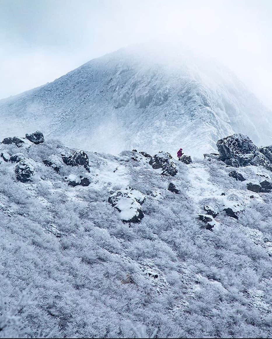 登山*トレッキング*アウトドア『.HYAKKEI』さんのインスタグラム写真 - (登山*トレッキング*アウトドア『.HYAKKEI』Instagram)「儚さと美しさが同居しているかのような日本的な雪山の景色。ひとりハイカーがいることで、一層そのスケールが伝わってくる一枚。 ・ photo by @h_o_p_p_i_908 ・ ・  あなたの山の思い出picを#hyakkeime で投稿してください！みんなで素敵なお山ギャラリーをつくりましょー！﻿ ・﻿ ・﻿ ・﻿ #登山好きな人と繋がりたい #登山 #山登り #山歩き #山ガール #登山女子 #山ボーイ #山バカ #landscape #絶景 #日本の絶景 #as_archive #vsco #reco_ig #光と影 #広角 #青空 #sky #自然美 #雪山 #くじゅう連山」1月24日 19時10分 - hyakkei_me