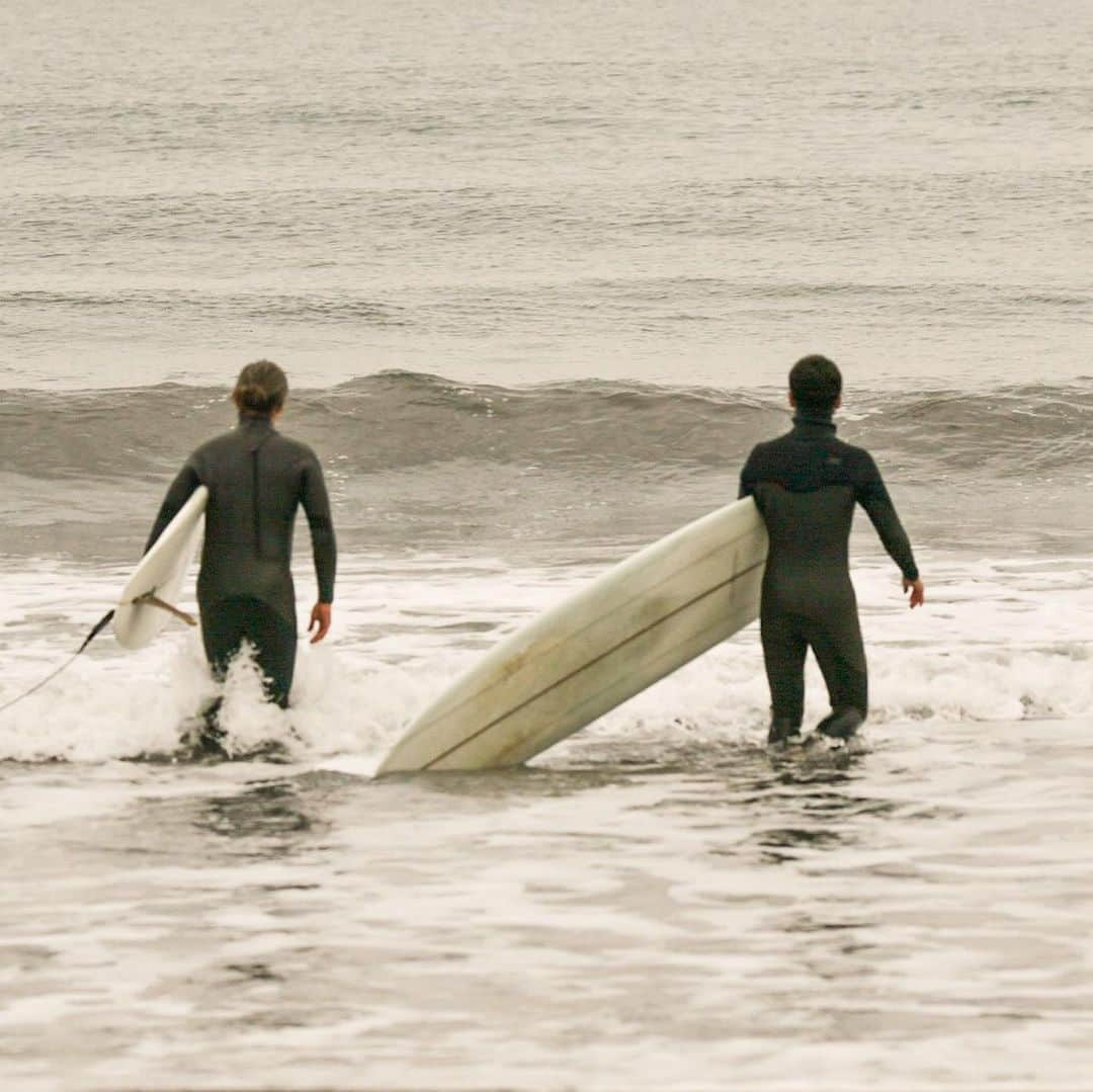 駿河太郎さんのインスタグラム写真 - (駿河太郎Instagram)「久々の鵠沼 お邪魔しました @mitsurf @karubekyosuke @takuya_nagakura @yuzurushinjo @transistor_brand  ありがとうございました😊」1月24日 19時18分 - tarosleepydog