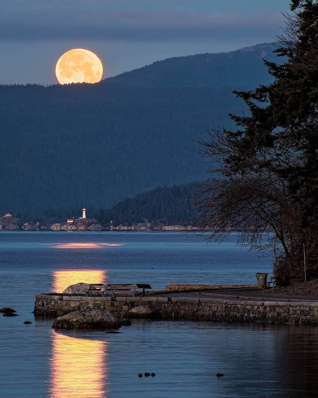 バンクーバー観光局- Tourism Vancouverのインスタグラム：「先日も紹介したダウンタウン西にあるスタンレーパーク。公園の周りを囲むように通っているシーウォールは、場所によってその表情を変えます。のんびりと散歩をして、お気に入りの場所を見つけてください。⁠ 📷 : @seaside_signs(Instagram)⁠ .⁠ .⁠ .⁠ #カナダ #バンクーバー #Vancouver #旅 #旅行 #女子旅 #旅好き #一人旅 #海外旅行 #トラベル #旅女子 #旅行好きな人と繋がりたい #旅好きな人と繋がりたい #旅行好き #旅行大好き #旅行行きたい #旅に出たい #海外 #旅の記録 #旅の思い出 #旅行記 #旅したくなるフォト #マイトリップ #マイトリ #retrip_global #風景 #世界一周 #ダレカニミセタイケシキ #夜景 #スタンレーパーク」