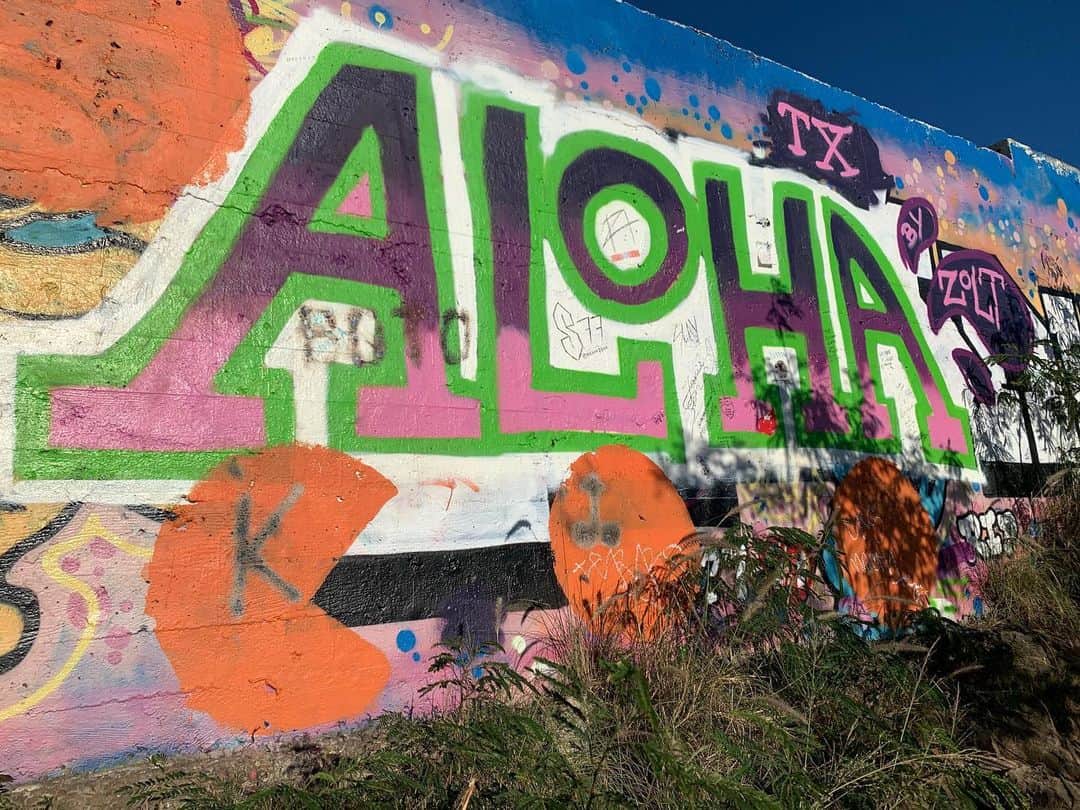 Lanikai Bath and Bodyさんのインスタグラム写真 - (Lanikai Bath and BodyInstagram)「Happy Aloha Friday!! Taken on the first pillbox on your hike up to see the twin islands 😍😍 #alohafriday #twinislands #mokaluaislands #pillboxhike #lanikaibathandbody #lanikaibathandbodyjapan #natural #organic #kailuatownhi #luckywelivehi」1月25日 5時36分 - lanikaibathandbody