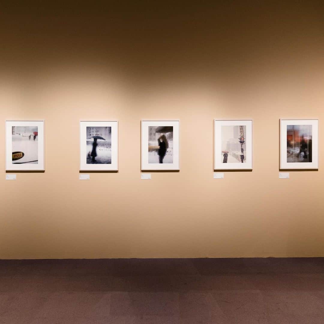 haconiwa / 箱庭さんのインスタグラム写真 - (haconiwa / 箱庭Instagram)「Bunkamura ザ・ミュージアム（東京/渋谷・東急本店横）にて、開催中の「ニューヨークが生んだ伝説の写真家 永遠のソール・ライター」展。﻿ 2017年、同施設にて日本で初めて開催された「写真家ソール・ライター展」は、個人の写真展としては異例の入場者数を記録し、大きな話題を呼びました。﻿ あれから約3年。写真家ソール・ライター展が、再び同施設で開催されます！前回の展覧会を見た方も、見逃したという方も必見の展覧会ですよ。﻿ ﻿ 詳細は、こちらの記事をご覧ください。﻿ https://www.haconiwa-mag.com/exhibition/2020/01/saulleiter/﻿ ﻿ ニューヨークが生んだ伝説の写真家 永遠のソール・ライター﻿ 開催日：2020年1月9日(木)〜2020年3月8日(日)﻿ 休館日：1月21日(火)、2月18日(火)﻿ 開催時間：10:00〜18:00 ※毎週金・土曜日は21:00まで ※入館は各閉館時間の30分前まで﻿ 開催場所・会場：Bunkamura ザ・ミュージアム﻿ 東京都渋谷区道玄坂2-24-1 B1F﻿ 入場料：一般1500円、大学・高校生1000円、中・小学生700円﻿ お問い合わせ：03-5777-8600（ハローダイヤル）﻿ ※掲載の写真は、撮影許可を得て撮影しております。 ﻿ #写真展 #Bunkamura #Photograph #Exhibition #写真家 #saulleiter #ソールライター #渋谷 #東京」1月24日 22時01分 - haconiwa_mag