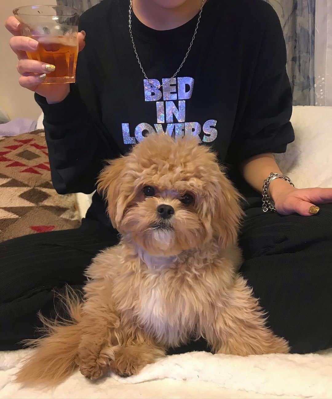 Manitasのインスタグラム：「愛犬と晩酌〜。 🐶 @comanichaaaaan  #犬のいる暮らし #めっちゃカメラ目線のコマニさん」