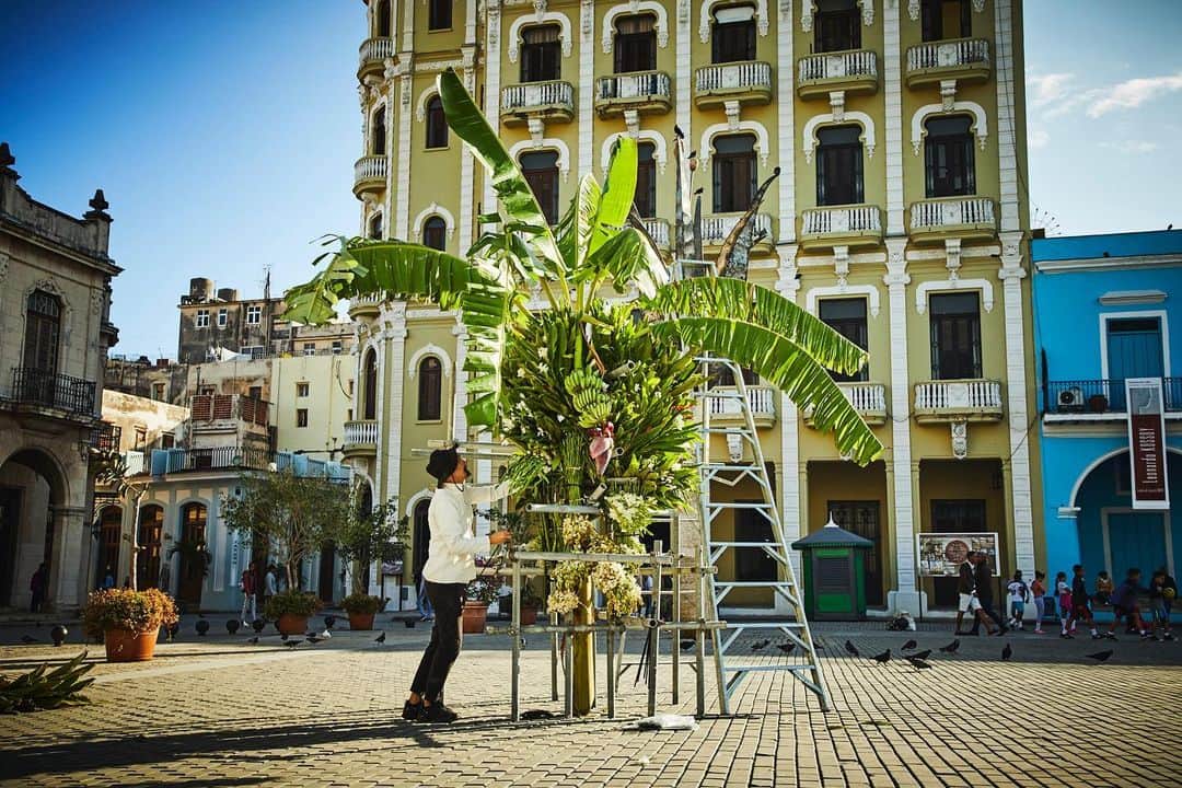 東信さんのインスタグラム写真 - (東信Instagram)「Botanical Sculpture in Cuba  Date: January 23 Thursday, 2020 Location: Plaza Vieja 23.136019,-82.349975 *Please insert this numbers to your Google map.  @azumamakoto @amkk_project @shiinokishunsuke  #azumamakoto #makotoazuma #shiinokishunsuke #amkk #amkkproject #flowers #flowerart #botanicalsculpture #東信 #東信花樹研究所 #cuba #HABANA #PlazaVieja」1月24日 22時25分 - azumamakoto