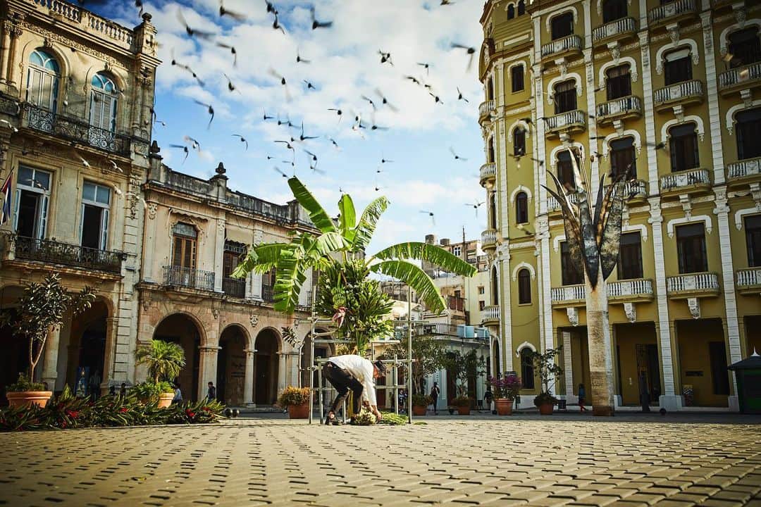 東信さんのインスタグラム写真 - (東信Instagram)「Botanical Sculpture in Cuba  Date: January 23 Thursday, 2020 Location: Plaza Vieja 23.136019,-82.349975 *Please insert this numbers to your Google map.  @azumamakoto @amkk_project @shiinokishunsuke  #azumamakoto #makotoazuma #shiinokishunsuke #amkk #amkkproject #flowers #flowerart #botanicalsculpture #東信 #東信花樹研究所 #cuba #HABANA #PlazaVieja」1月24日 22時25分 - azumamakoto