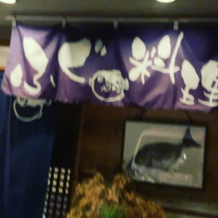 金村義明のグルメインスタ