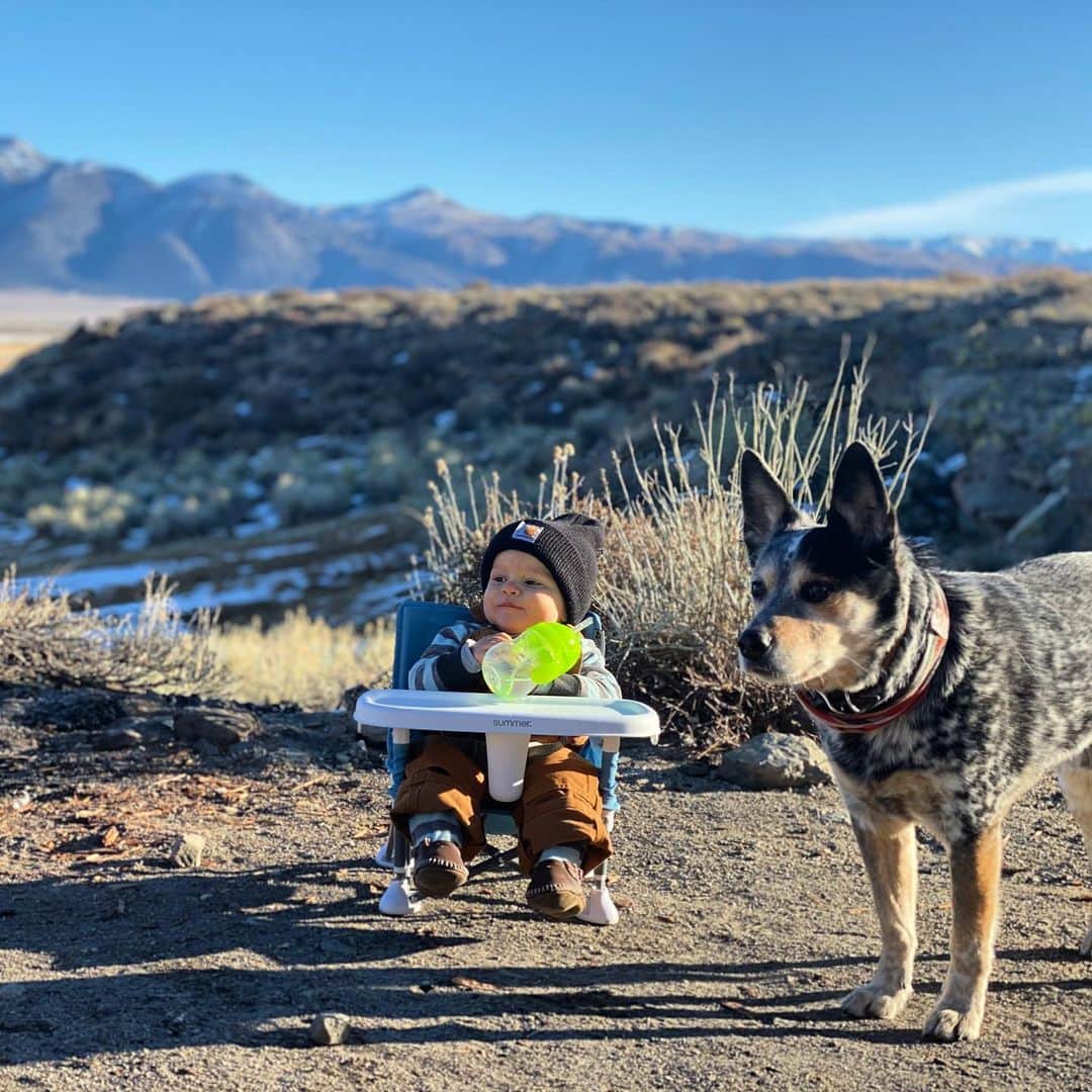 Dogs by Ginaのインスタグラム：「Hi everyone!  These last few weeks have been weird. I think January is my slowest month. People settling from the holiday rush and schools back in sesh. As soon as it picks up my son gets sick. This is his second round with the flu in two weeks! Trying to help a 1yr old throw up is not fun and heart aching. My poor babe. If I’ve reached out to you to reschedule I appreciate your understanding and flexibility. Balancing this “working mom” life is no joke and I’m doing the best I can. Im happy to be in the position where I can stay home with my babe when he needs me. It feels good and I’m blessed. . . I leave you with this sweet picture of him & Oly from our trip to mammoth earlier this month- better days.」
