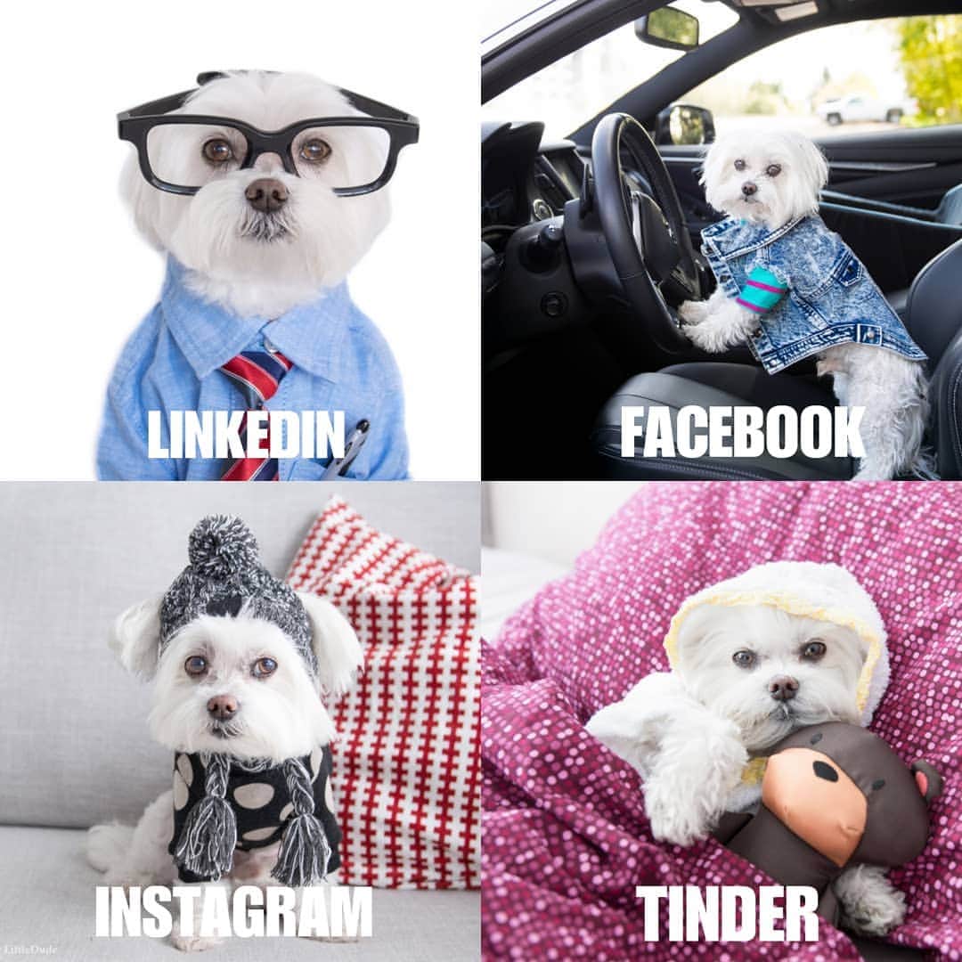 Toby LittleDudeのインスタグラム：「Get you a dude that can do it all.」