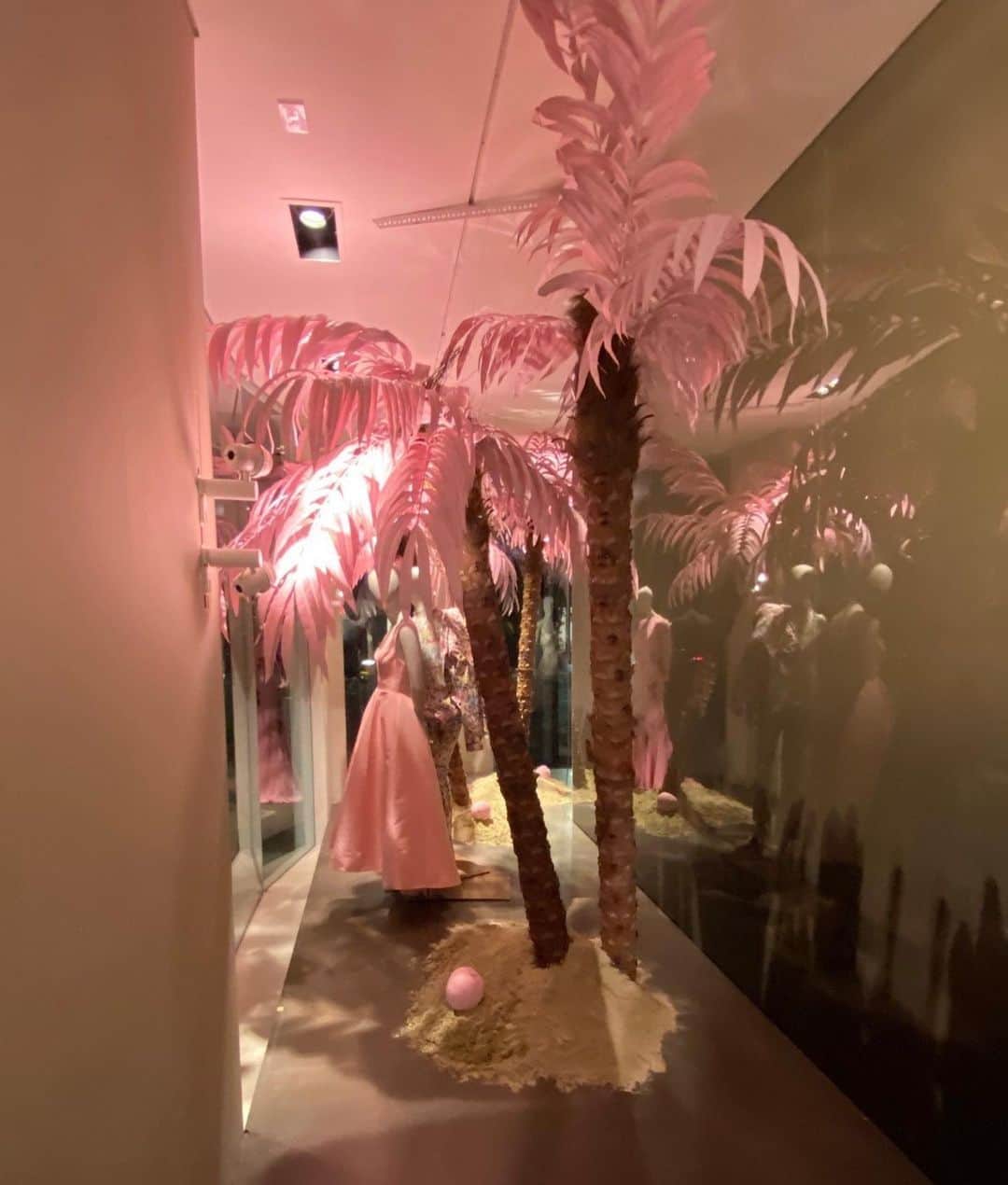 Monique Lhuillierさんのインスタグラム写真 - (Monique LhuillierInstagram)「Pink Palm Trees? Why not? 💗 Spring has sprung at our flagship on Melrose Place xM #love #moniquelhuillier #LA」1月25日 1時49分 - moniquelhuillier