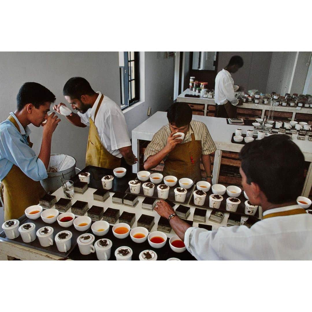 スティーブ・マカリーさんのインスタグラム写真 - (スティーブ・マカリーInstagram)「“There is something in the nature of tea that leads us into a world of quiet contemplation of life.” - Lin Yutang. 1st image: Tea pluckers fill their baskets with the buds and tenderest leaves from each bush, #SriLanka, 1995. 2nd image: Tea tasters in #Colombo, Sri Lanka, 1995. 3rd image: Tea workers in Nuwara Eliya, Sri Lanka, 1995. 4th image: Family drinking tea together, #Nouakchatt, #Mauritania, 1986.  #SteveMcCurry」1月25日 2時52分 - stevemccurryofficial