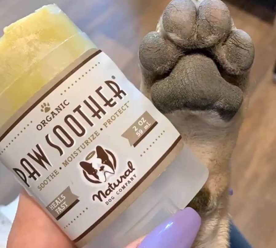 Regeneratti&Oliveira Kennelさんのインスタグラム写真 - (Regeneratti&Oliveira KennelInstagram)「Have you checked your dog’s paws lately? Paw pads are naturally tough, but they should not be overly dry. When skin is dry, it’s more prone to injury from splitting and developing deep & painful cracks. Healthy, moisturized paws are flexible and allow for dogs to get a better grip! You can heal paws with natural ingredients found in #PawSoother from @naturaldogcompany. Safe to lick, and it works FAST to get paws healthy! . ⭐ Save 20% off @naturaldogcompany with code JMARCOZ at NaturalDog.com | worldwide shipping | ad 📷: @burger.and.fredo . . . . . . . #naturaldogcompany #frenchie #frenchbulldog #bulldoguefrances」1月25日 4時04分 - jmarcoz
