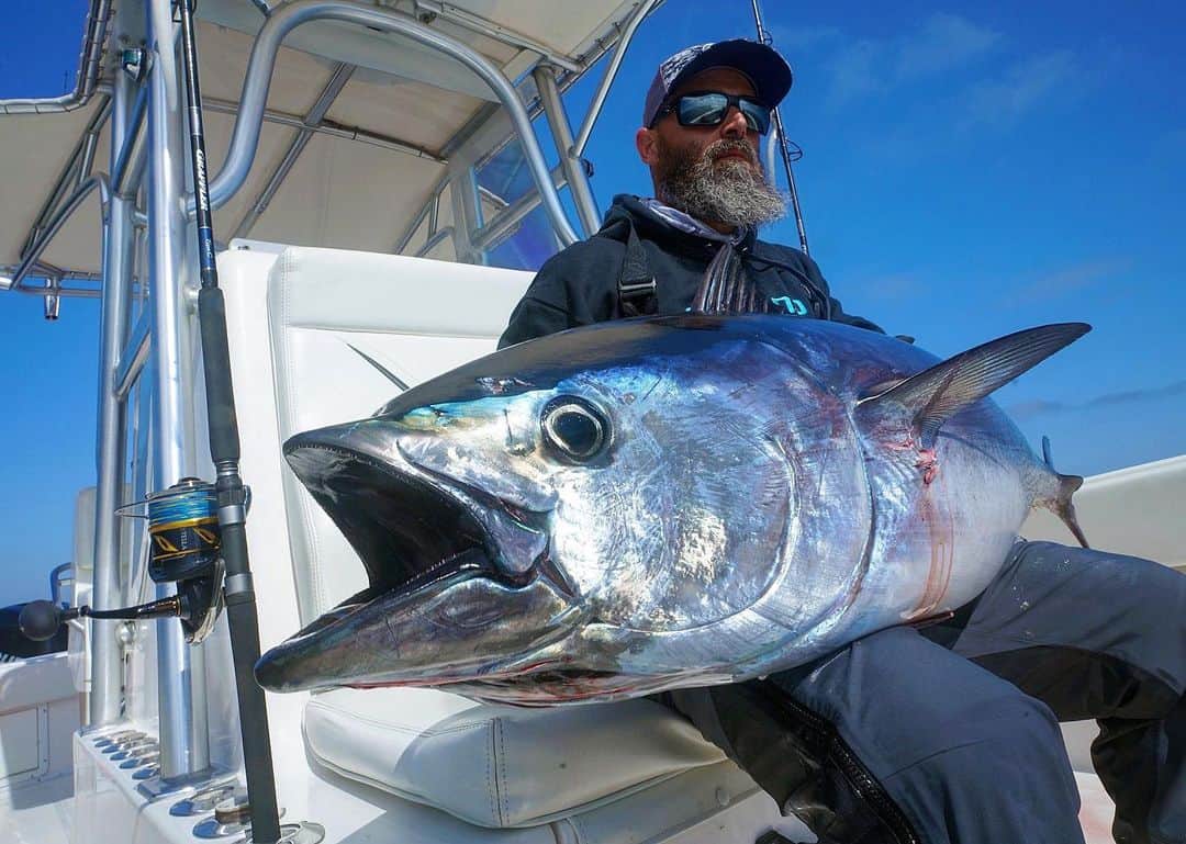 シマノ｜Fishingさんのインスタグラム写真 - (シマノ｜FishingInstagram)「Battle the largest saltwater fish, like this Northeastern bluefin tuna, with the new Stella SW! 🐠 MSRP $849.99 - $1,199.99  Stella SW ➡️ fish.shimano.com 📸: @captainblaineanderson  #FishShimano #InfinitePower #stellasw #spinningreel #saltwaterfishing #bluefintuna @mrfacesweater」1月25日 5時26分 - fish_shimano_north_america
