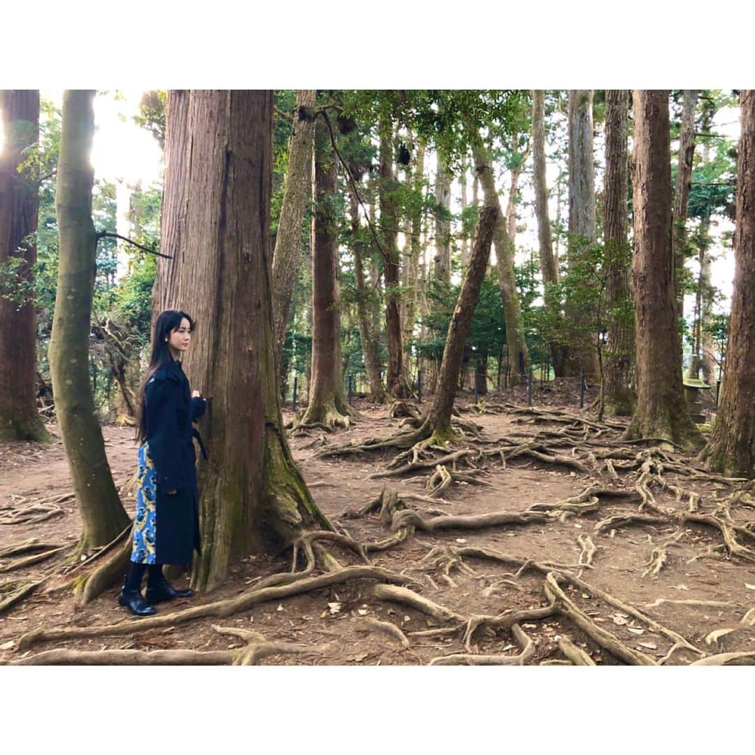 花柳まり草さんのインスタグラム写真 - (花柳まり草Instagram)「鞍馬から貴船に抜ける山中。  根っこが地を這う不思議な場所。  義経様が天狗さんと共に修行なさった場所だそうです。  #鞍馬寺 #鞍馬 #kurama  #鞍馬寺から貴船神社 #鞍馬山  #kyoto #京都  #根の道 #由岐神社 #shrine  #花柳まり草  #日本舞踊」1月25日 16時16分 - marikusa.hanayagi