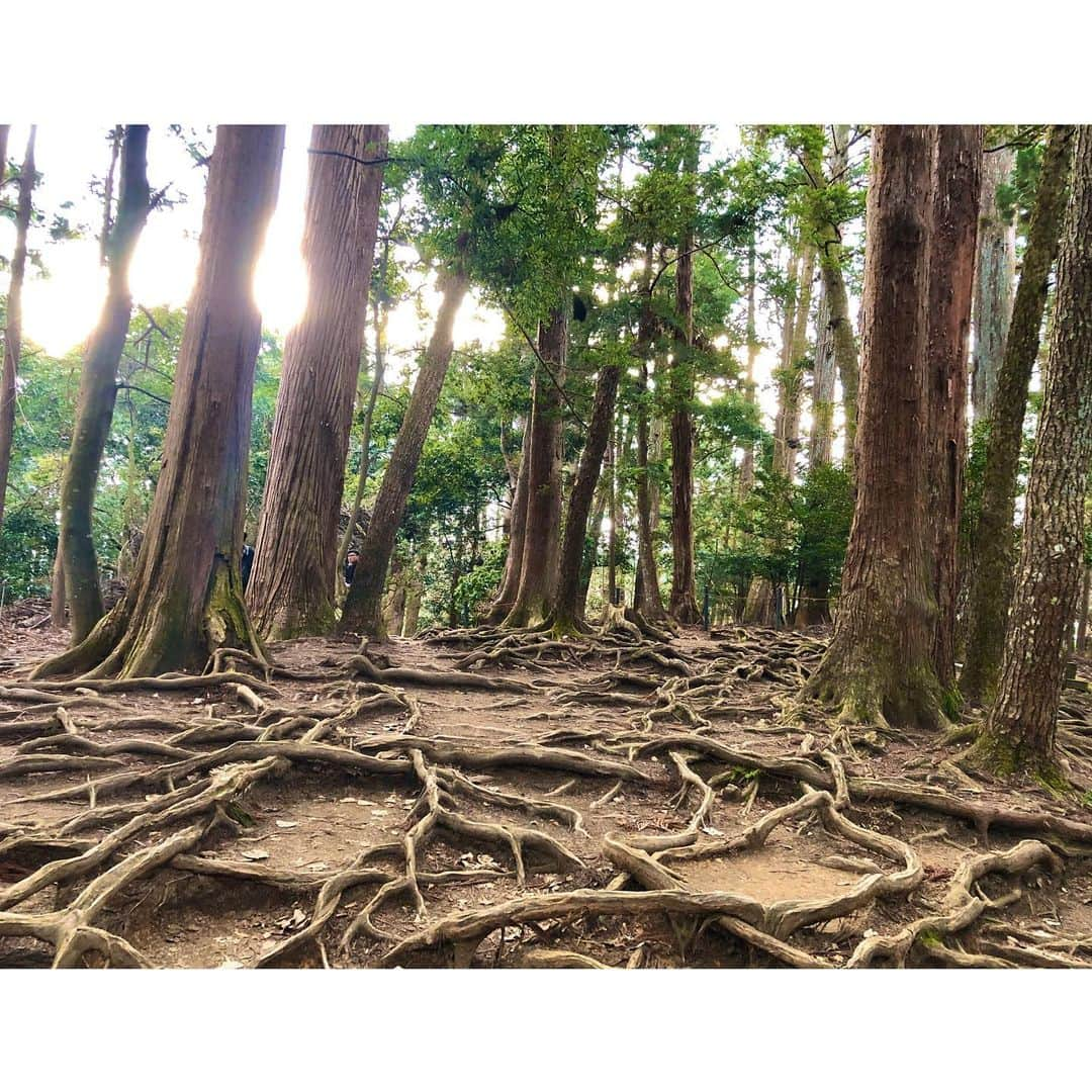 花柳まり草さんのインスタグラム写真 - (花柳まり草Instagram)「鞍馬から貴船に抜ける山中。  根っこが地を這う不思議な場所。  義経様が天狗さんと共に修行なさった場所だそうです。  #鞍馬寺 #鞍馬 #kurama  #鞍馬寺から貴船神社 #鞍馬山  #kyoto #京都  #根の道 #由岐神社 #shrine  #花柳まり草  #日本舞踊」1月25日 16時16分 - marikusa.hanayagi