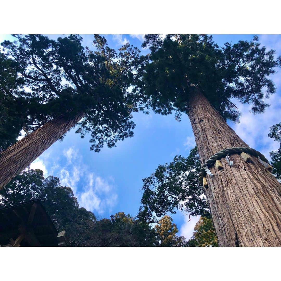 花柳まり草さんのインスタグラム写真 - (花柳まり草Instagram)「鞍馬から貴船に抜ける山中。  根っこが地を這う不思議な場所。  義経様が天狗さんと共に修行なさった場所だそうです。  #鞍馬寺 #鞍馬 #kurama  #鞍馬寺から貴船神社 #鞍馬山  #kyoto #京都  #根の道 #由岐神社 #shrine  #花柳まり草  #日本舞踊」1月25日 16時16分 - marikusa.hanayagi