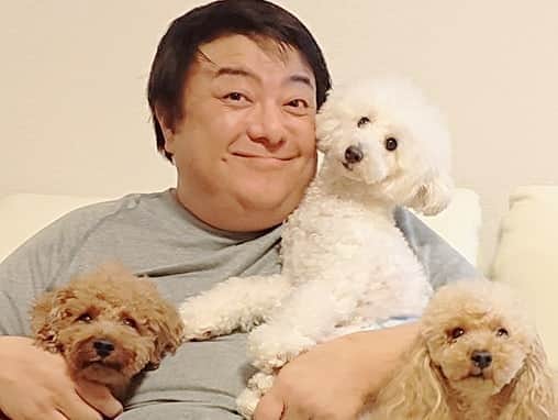 彦摩呂さんのインスタグラム写真 彦摩呂instagram ソラくん レオくんの 友達 ホワイトプードルの ベーダくんが 遊びに来ました ヤバカワ トイプードル男の子 トイプードル 彦摩呂 ワンちゃん わんこ 1月25日 15時04分 Hikomaro Honmono