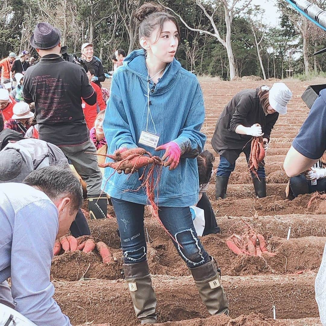 雛形あきこさんのインスタグラム写真 - (雛形あきこInstagram)「明日は林先生のなるほど社会見聞録 #農業の今 #2時から #林先生のなるほど社会見聞録」1月25日 14時58分 - akiko_hinagata