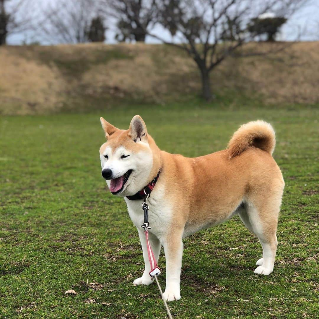 こなつのインスタグラム