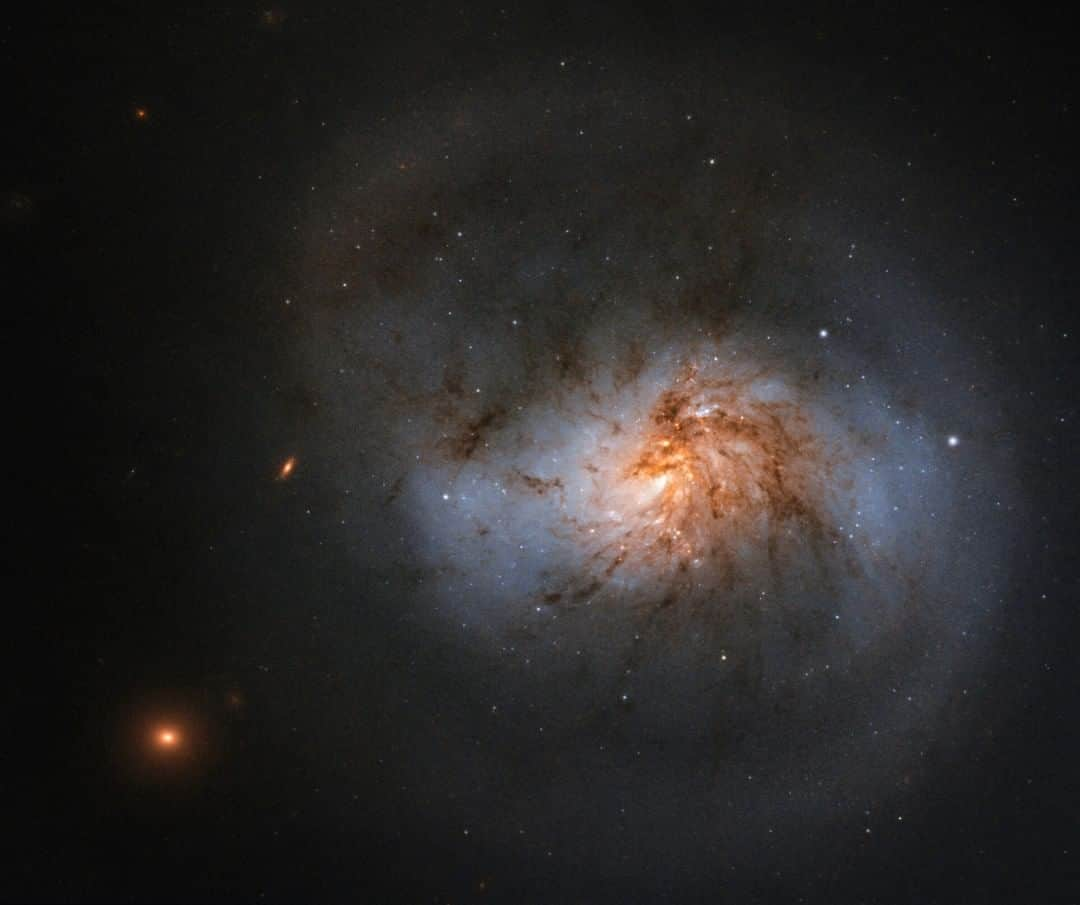 NASAさんのインスタグラム写真 - (NASAInstagram)「The light cannot exist without the dark 🖤⁣ ⁣ This spiral galaxy, beautifully streaked with tendrils of reddish dust, was captured by @NASAHubble as a part of a black hole study. Black holes are fundamental components of galaxies and are thought to lurk at the hearts of many — if not all — spirals.⁣ ⁣ Click the link in the bio for more info ⬆️⁣ ⁣ Image credit: ESA/Hubble & NASA, A. Seth ⁣ ⁣ #NASA #Galaxy #BlackHoles」1月25日 8時00分 - nasa