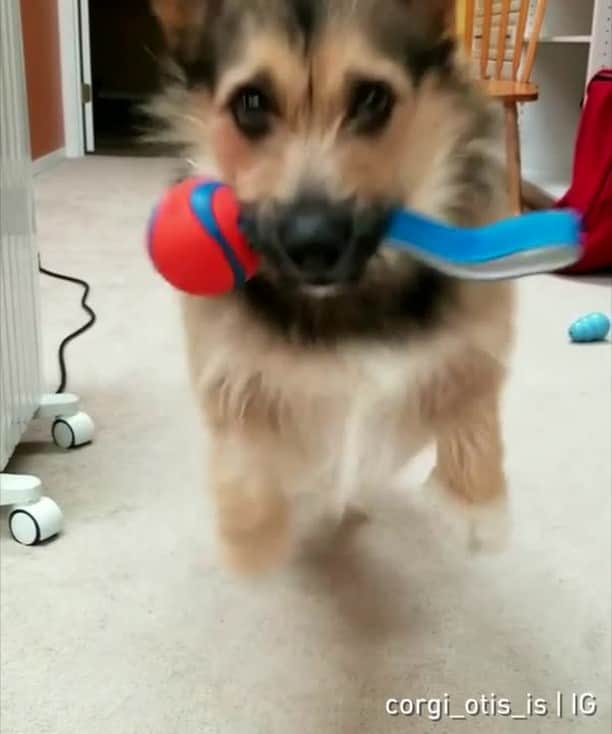 9GAGのインスタグラム