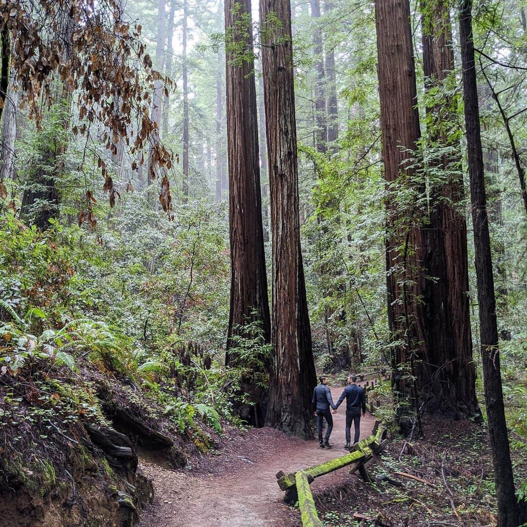 エリック・ラドフォードさんのインスタグラム写真 - (エリック・ラドフォードInstagram)「The land before time. #redwoods #beautiful #forest #nature #explore #loveislove」1月25日 10時50分 - ericradford85