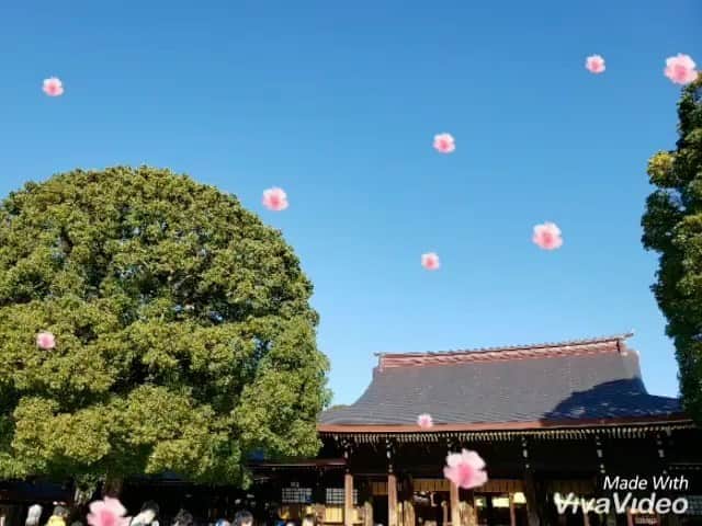 のインスタグラム：「明治神宮でのお式を見に来てくれていたお友達から嬉しい贈り物をいただきました♡ 私達の為に貴重な時間を使ってくれて本当にありがとう♡  #明治神宮 #結婚式 #神前式 #wedding #birthday #誕生日 #friends #thankyou #love #感動 #photooftheday #movie #白無垢 #袴 #胡蝶蘭 #愛 しか感じない ♡」