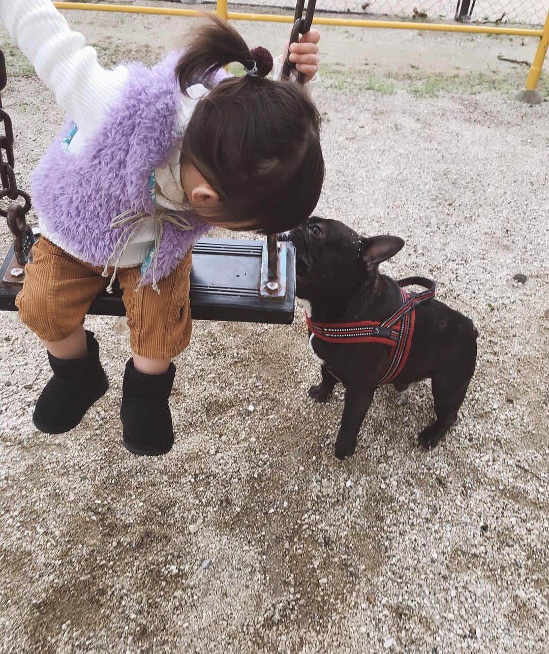 木村まこさんのインスタグラム写真 - (木村まこInstagram)「早くゆらしてくれない？ ブランコ押す係苦戦中🐷 . .  #20months#生後20ヶ月#離乳食完了期 #1歳#1歳8ヶ月 #女の子ママ#女の子キッズ #コドモノ#ママリ#ベビフル #育児日記#ママライフ#福岡ママ#福岡プレママ#プレママ#ママスタグラム#ベビスタグラム#フレンチブルドッグ #frenchbulldog #フレブル #ブリンドル #ブヒ#ブヒ犬  #フレブル10 #テンテン #犬スタグラム #犬バカ部 #福岡 #福岡犬民#福岡フレブル」1月25日 16時28分 - maco_kimura